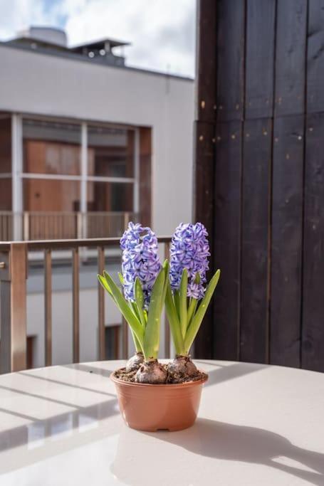New Loft With Rooftop Terrace In The Old Town リガ エクステリア 写真